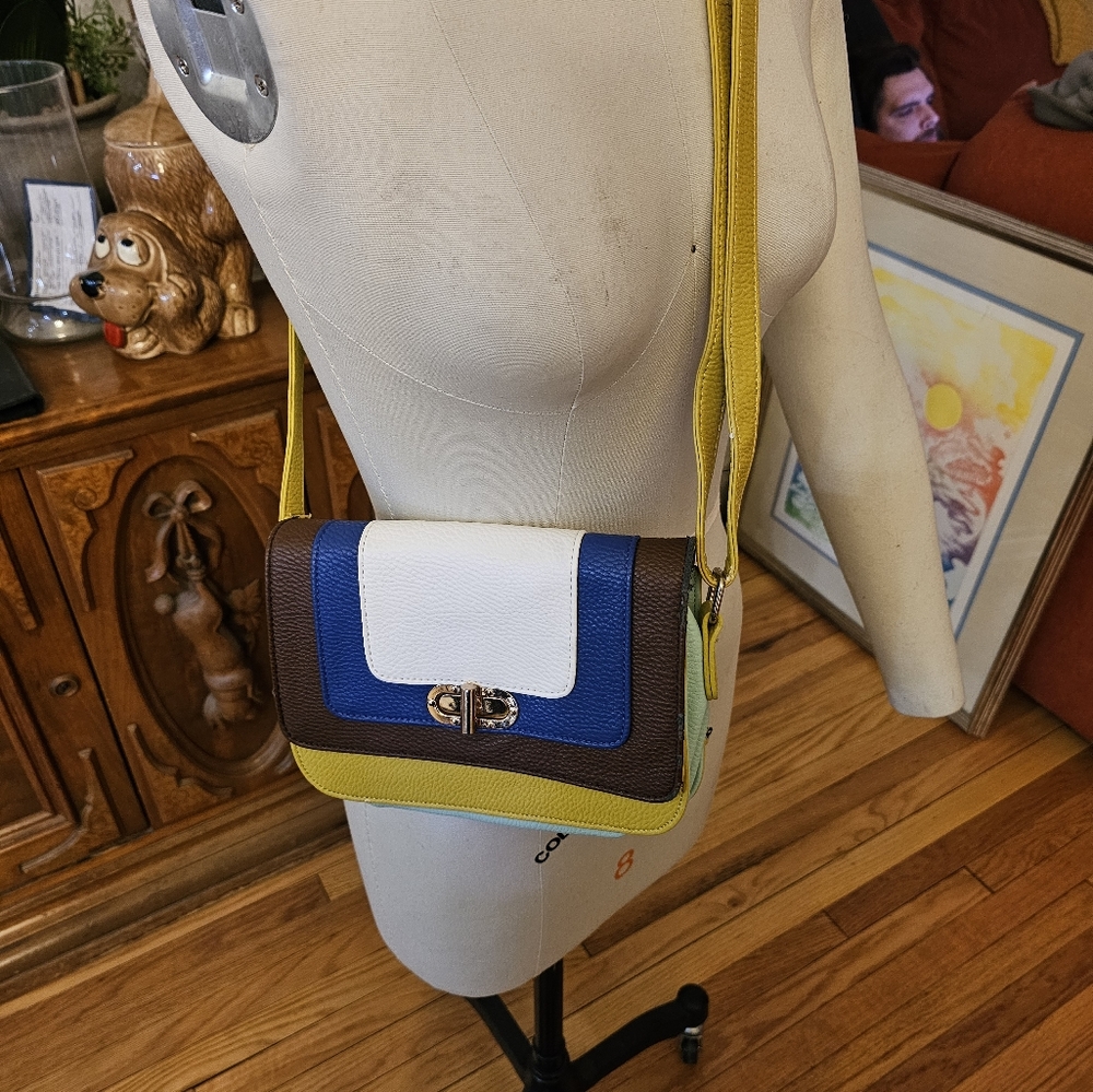 Big budah cross body bag. Color block adjustable strap